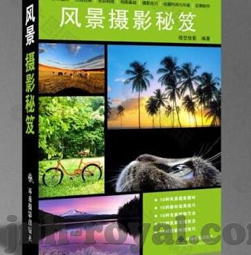 世界杯进球动作-世界杯进球动作，技艺与激情的碰撞
